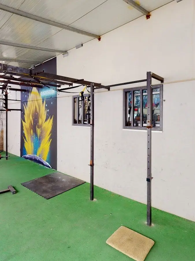 Zona de césped con sacos, cuerdas y barras para entrenamiento funcional